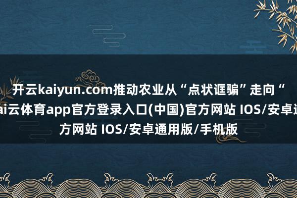 开云kaiyun.com推动农业从“点状诓骗”走向“平台协同”-kai云体育app官方登录入口(中国)官方网站 IOS/安卓通用版/手机版