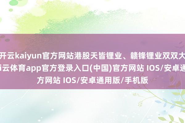 开云kaiyun官方网站港股天皆锂业、赣锋锂业双双大涨超14%-kai云体育app官方登录入口(中国)官方网站 IOS/安卓通用版/手机版