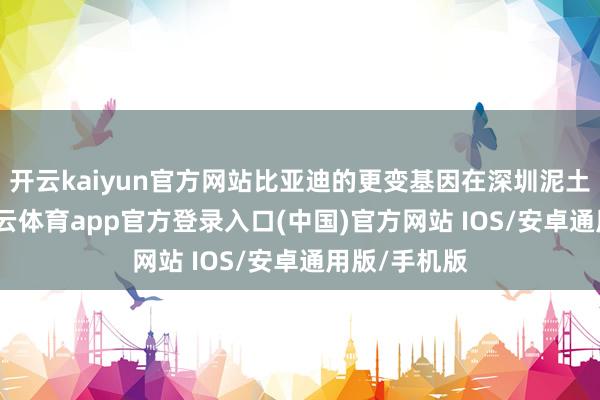 开云kaiyun官方网站比亚迪的更变基因在深圳泥土中萌生-kai云体育app官方登录入口(中国)官方网站 IOS/安卓通用版/手机版