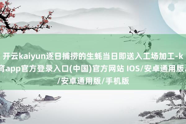 开云kaiyun逐日捕捞的生蚝当日即送入工场加工-kai云体育app官方登录入口(中国)官方网站 IOS/安卓通用版/手机版