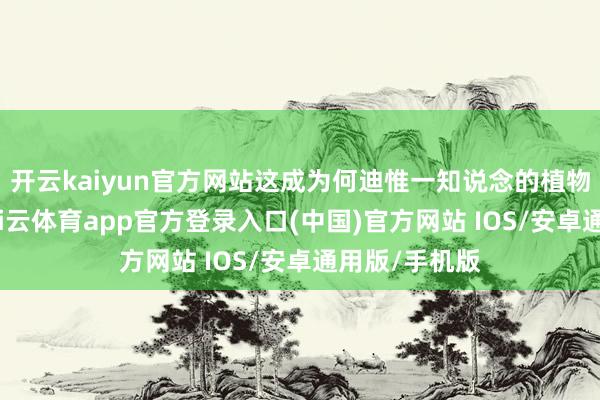 开云kaiyun官方网站这成为何迪惟一知说念的植物拉丁学名-kai云体育app官方登录入口(中国)官方网站 IOS/安卓通用版/手机版