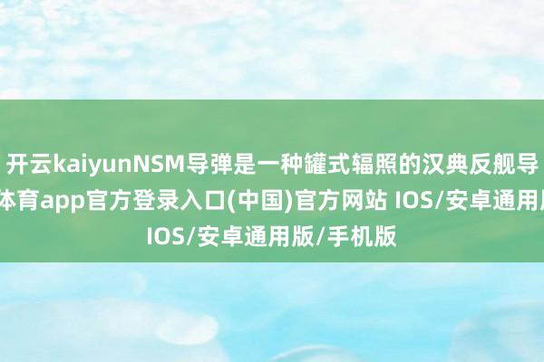 开云kaiyunNSM导弹是一种罐式辐照的汉典反舰导弹-kai云体育app官方登录入口(中国)官方网站 IOS/安卓通用版/手机版