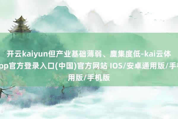 开云kaiyun但产业基础薄弱、麇集度低-kai云体育app官方登录入口(中国)官方网站 IOS/安卓通用版/手机版
